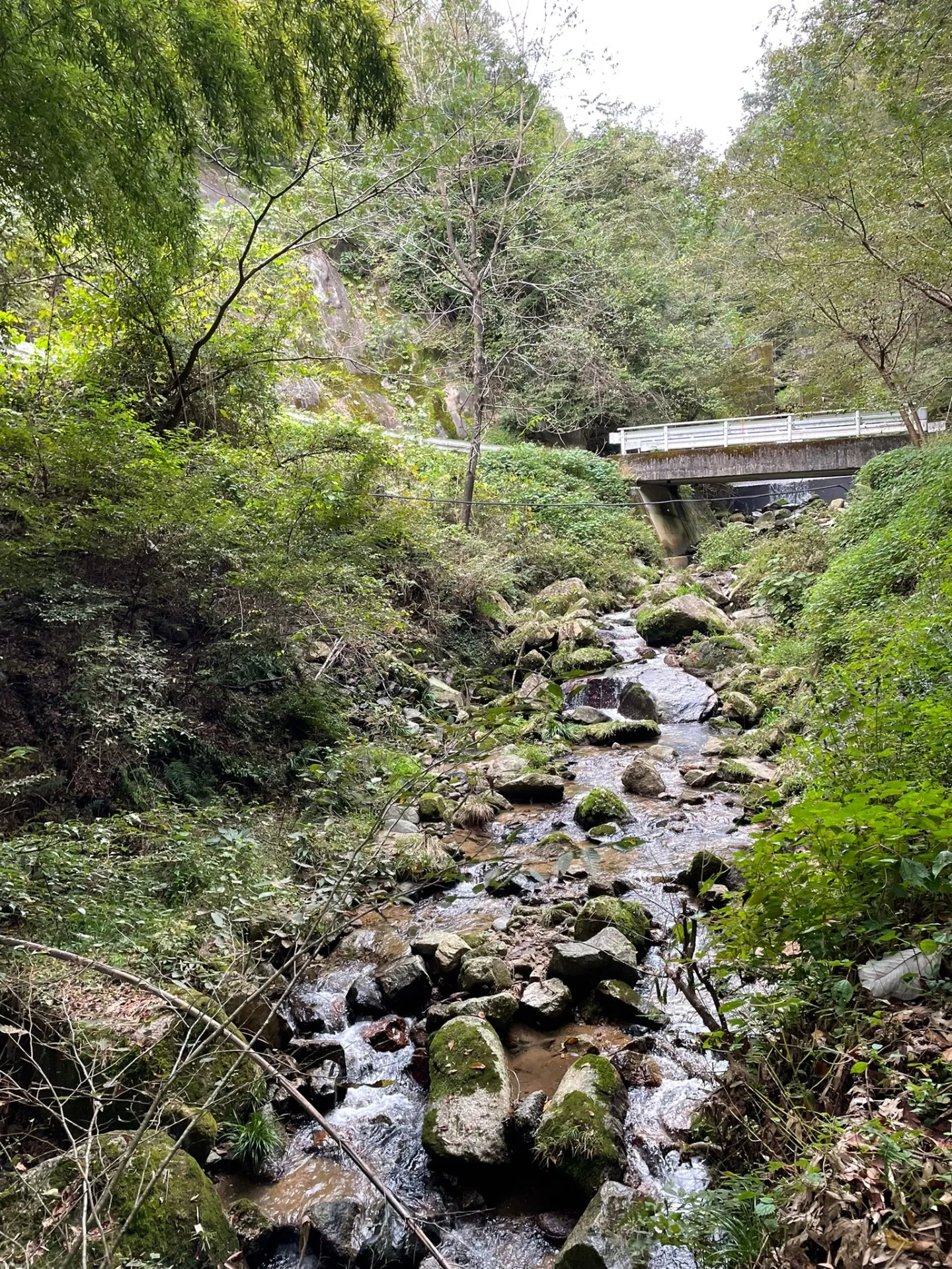 長野県内発生土置き場下流水路調査及び単点測量